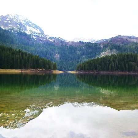 Guesthouse Zabljak Dış mekan fotoğraf