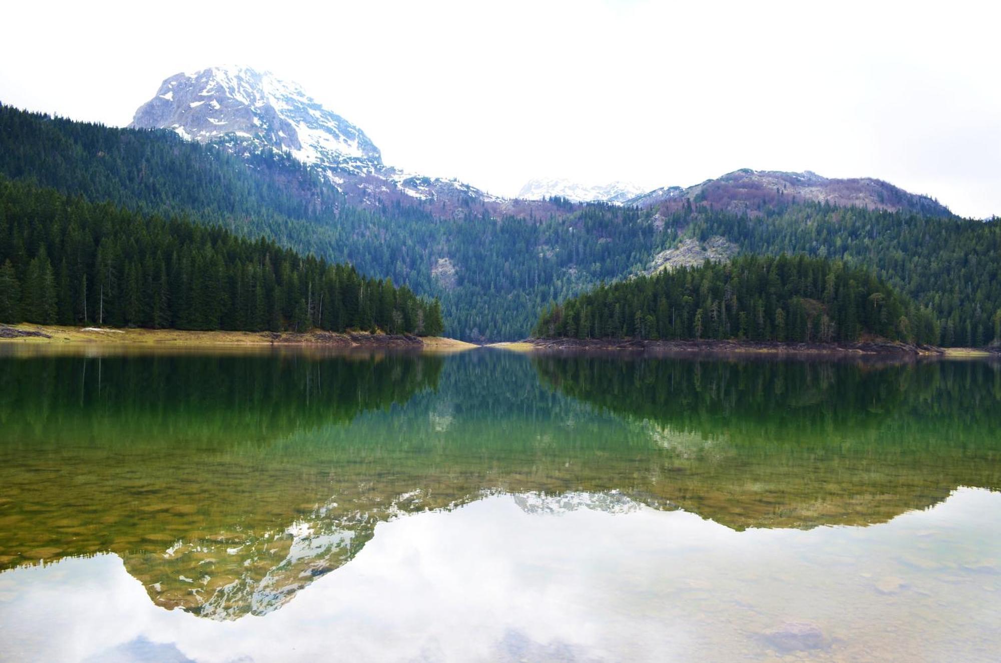 Guesthouse Zabljak Dış mekan fotoğraf